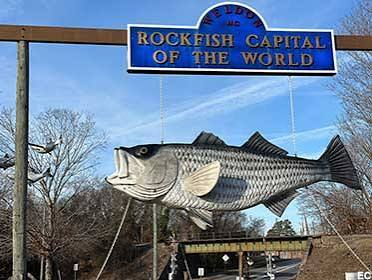 Taxi service in Rockfish, NC